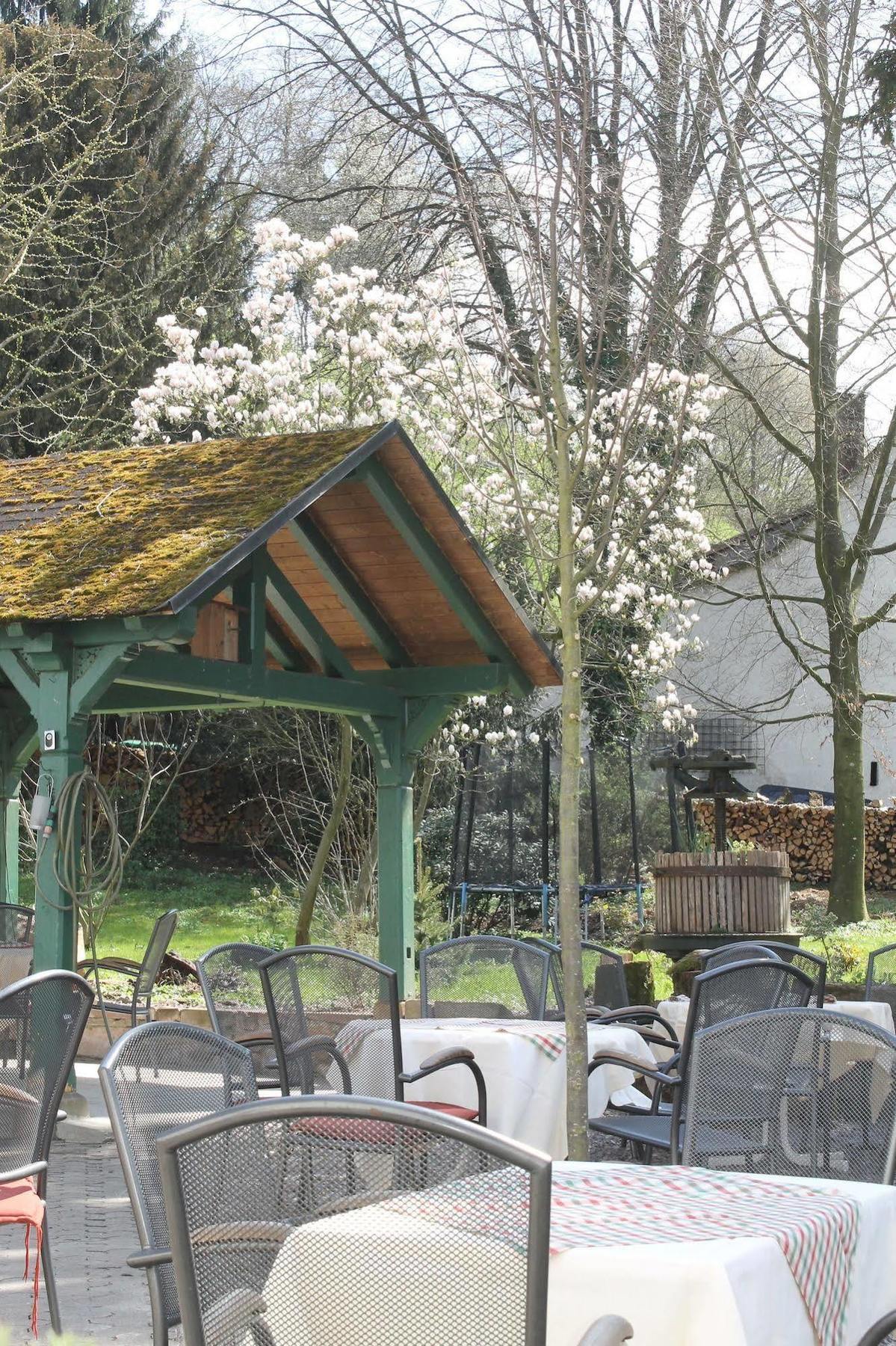 Hotel Suggenbad Waldkirch Extérieur photo